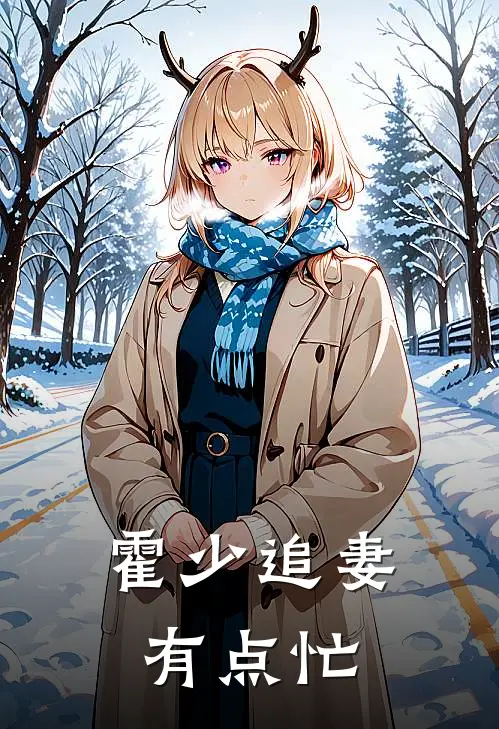 霍少追妻有点忙