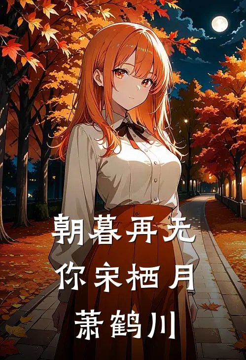 朝暮再无你宋栖月萧鹤川