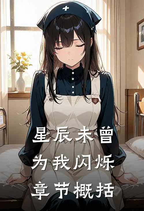 星辰未曾为我闪烁章节概括