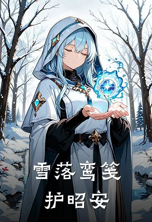 雪落鸾笺护昭安