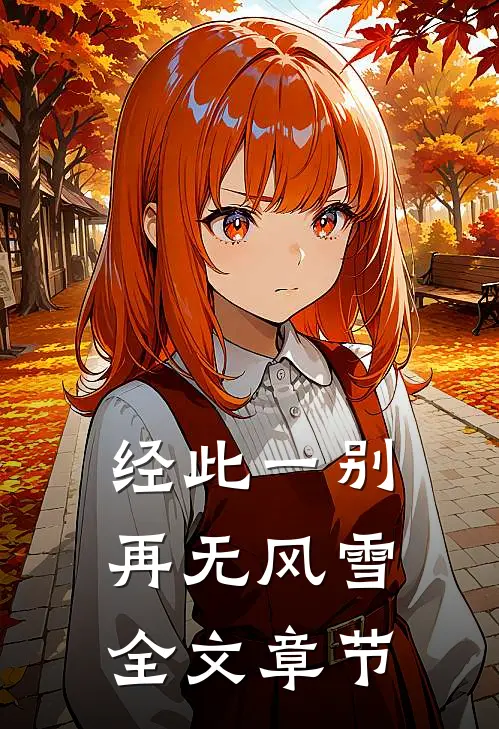 经此一别再无风雪全文章节