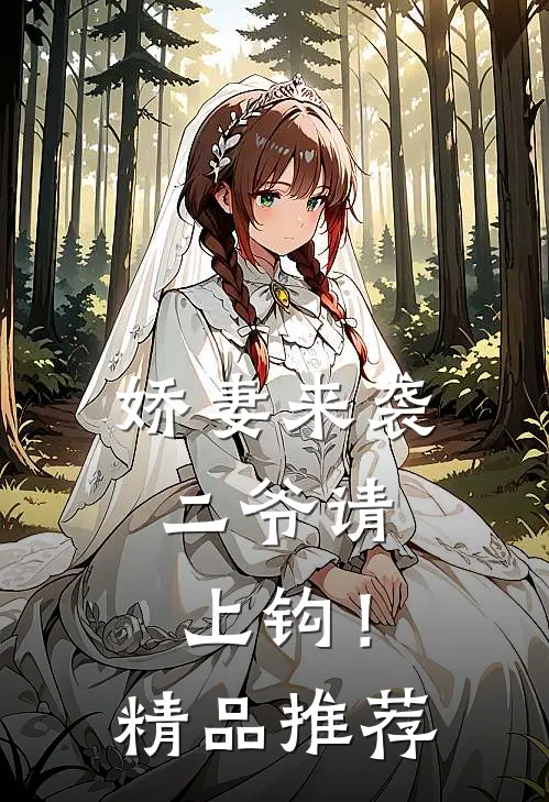 娇妻来袭二爷请上钩!精品推荐在线阅读