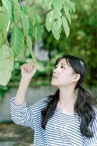全章节阅读逍遥王侯