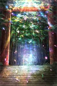 完整版逍遥王侯