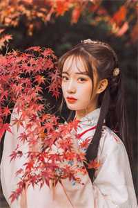 离婚后，我成了前妻高攀不起的神精品选集