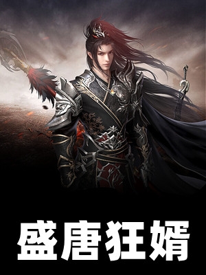 盛唐狂婿