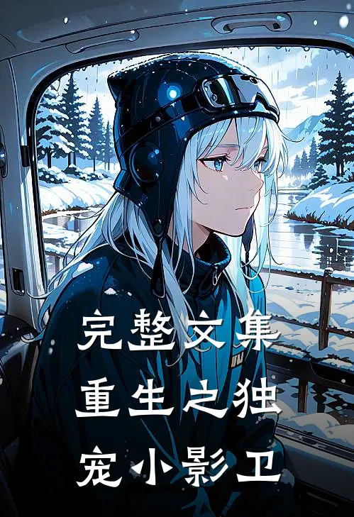 完整文集重生之独宠小影卫