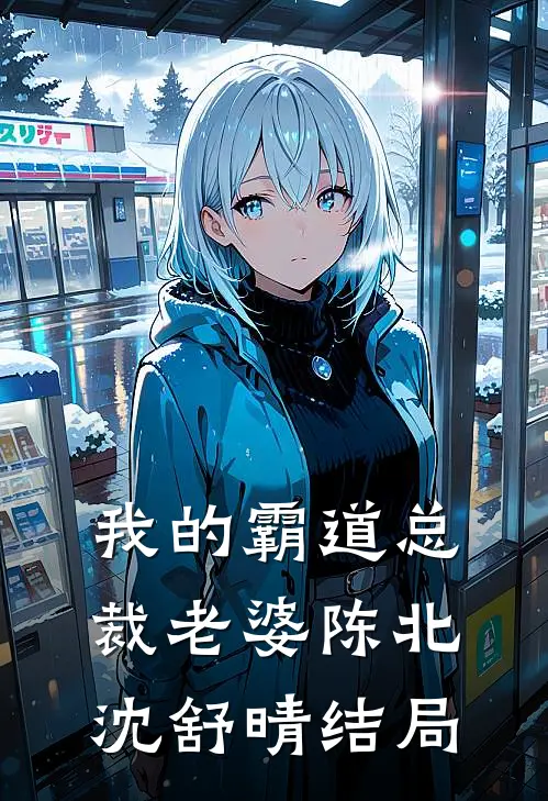 我的霸道总裁老婆陈北沈舒晴结局