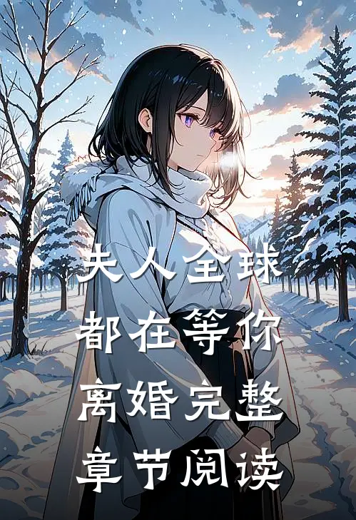 夫人全球都在等你离婚完整章节阅读
