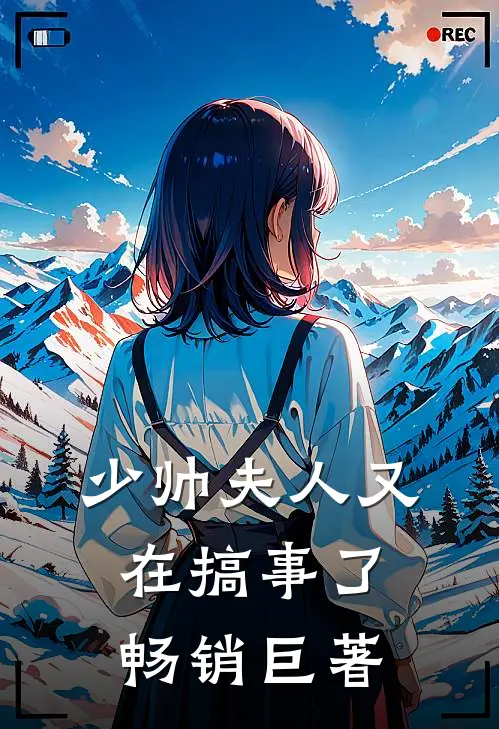 少帅夫人又在搞事了畅销巨著