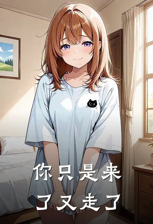 你只是来了又走了