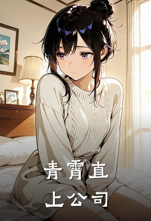 青霄直上公司