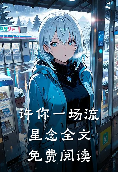 许你一场流星念全文免费阅读