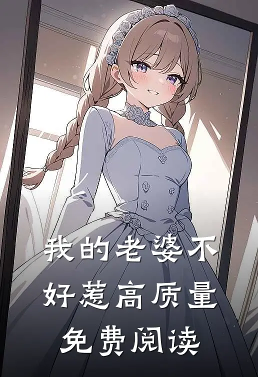 我的老婆不好惹高质量免费阅读