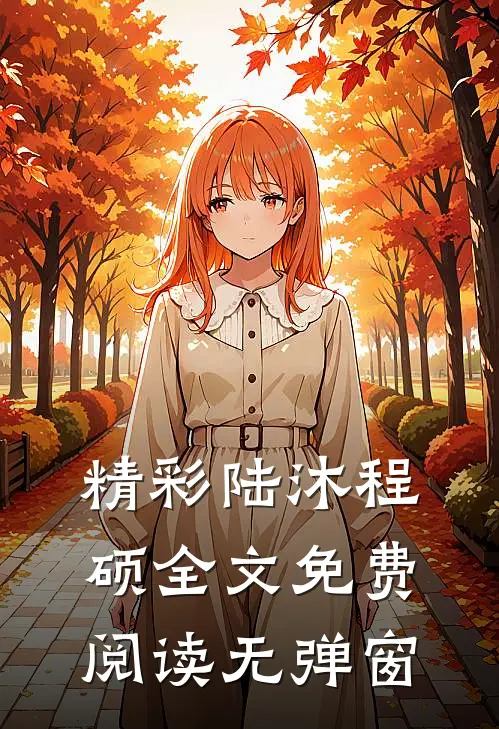 精彩陆沐程硕全文免费阅读无弹窗