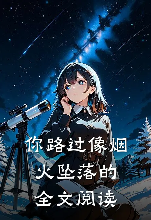 你路过像烟火坠落的全文阅读