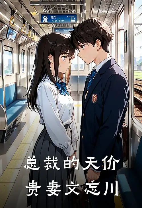 总裁的天价贵妻 文忘川