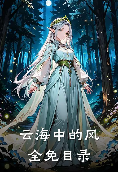 云海中的风全免目录