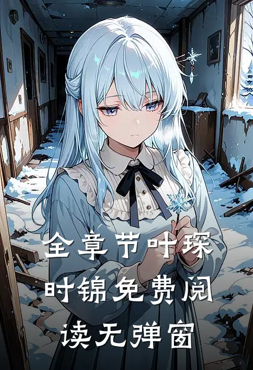 全章节叶琛时锦 免费阅读无弹窗