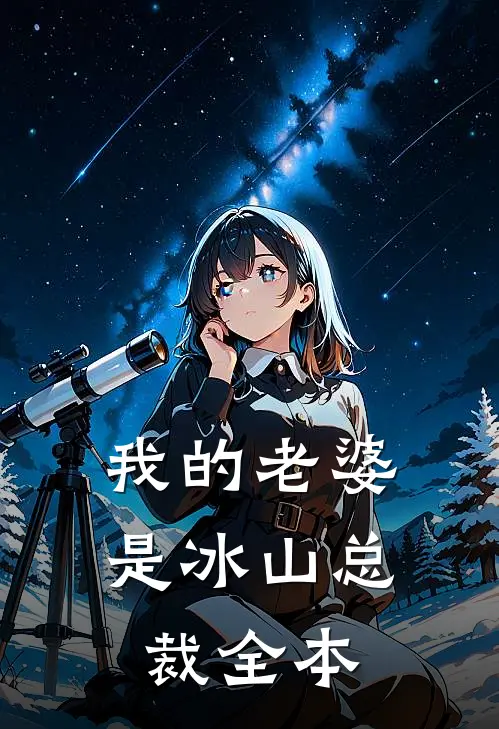 我的老婆是冰山总裁全本