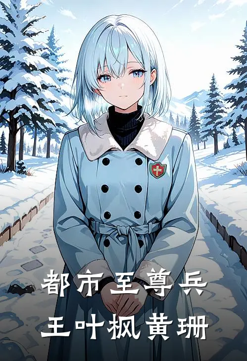 都市至尊兵王叶枫黄珊