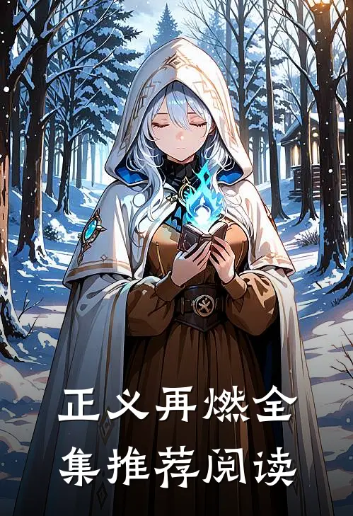 正义再燃全集推荐阅读