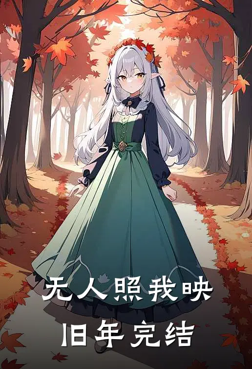 无人照我映旧年完结
