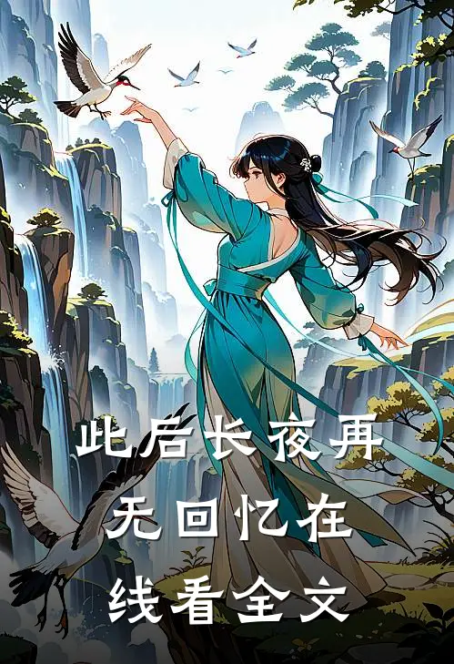 此后长夜再无回忆在线看全文