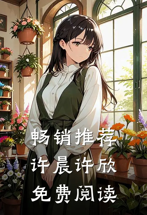 畅销推荐许晨许欣免费阅读