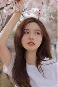 十年一梦晚梨辞精品选集