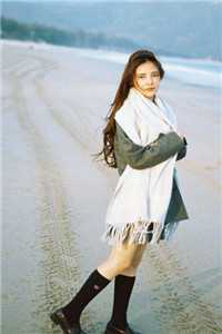 扶摇直上九万里精品推荐