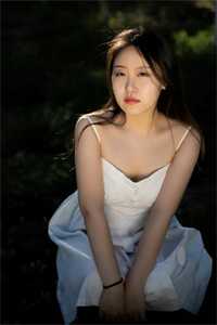 大唐最强县令：开局与长乐洞房火爆小说