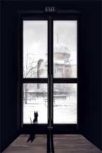 我不做家庭主妇后，总裁老公悔疯了后续+完结