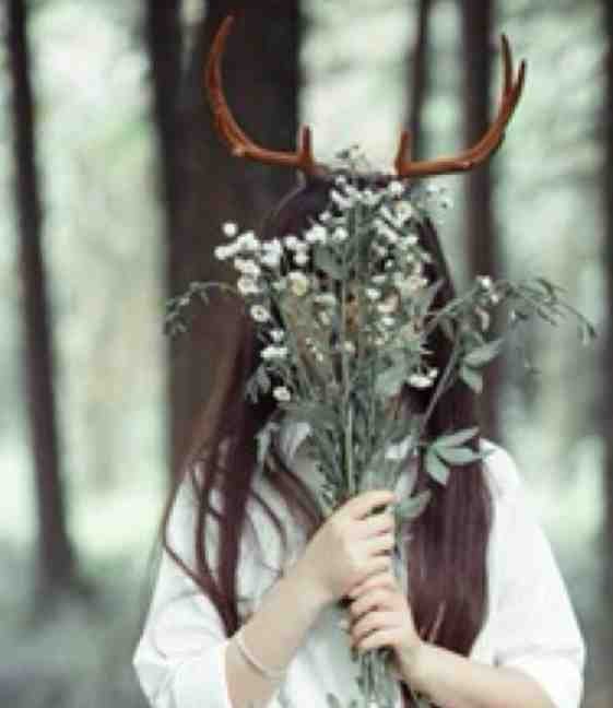 山高水远不相逢精品推荐