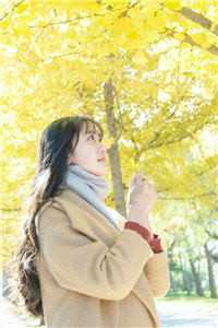 雾沉星未眠完结+番外