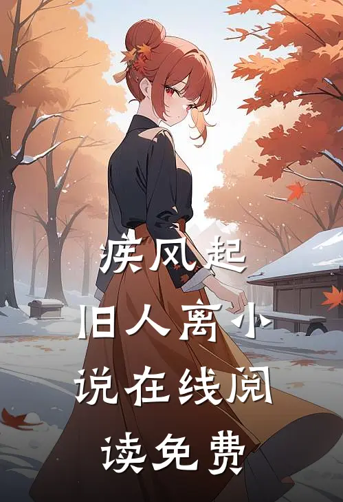 疾风起，旧人离小说在线阅读免费