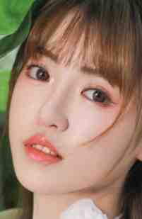 雾沉星未眠小说免费阅读全文