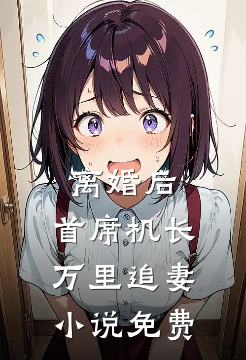 离婚后,首席机长万里追妻免费阅读