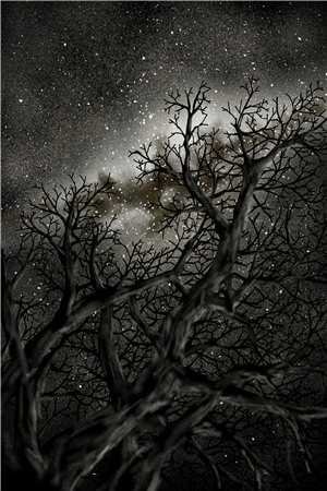 新婚之夜被陷害，入狱归来一无所有完整版