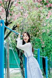 和老公一起重生回到高考前，我选择独美！无弹窗