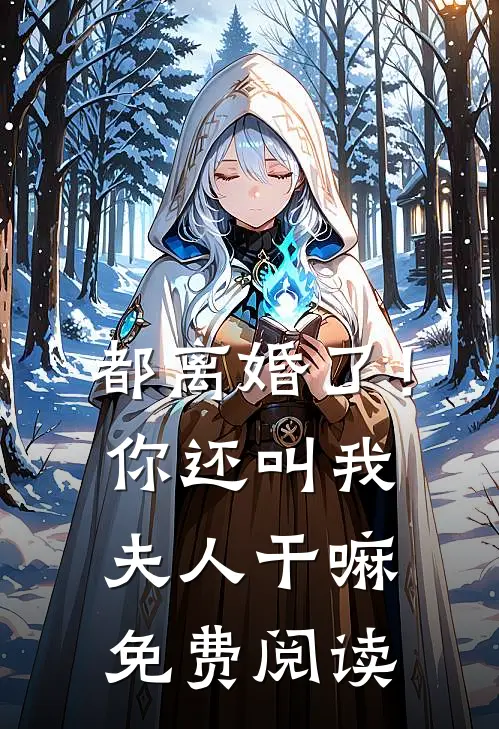 都离婚了!你还叫我夫人干嘛免费阅读全文