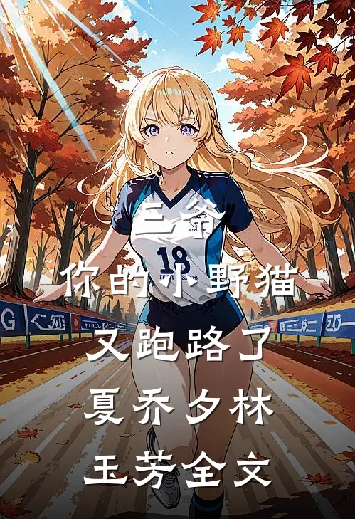 三爷,你的小野猫又跑路了夏乔夕林玉芳全文在线阅读