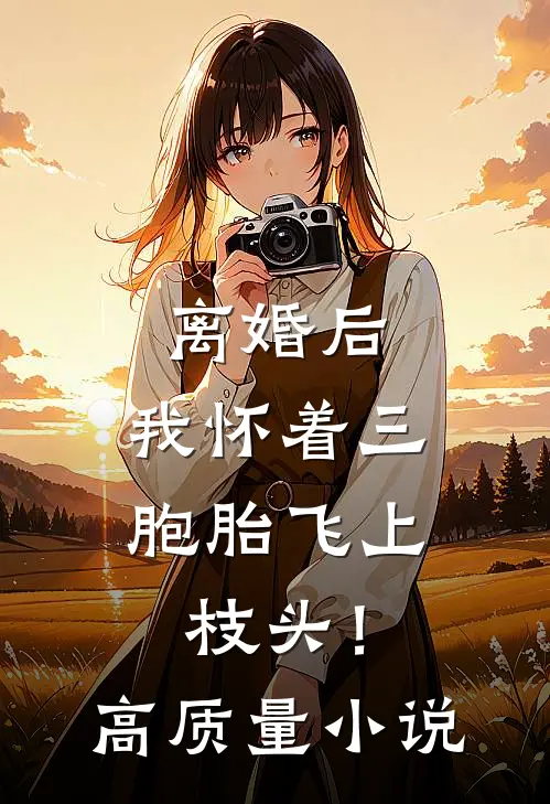 离婚后，我怀着三胞胎飞上枝头！高质量小说