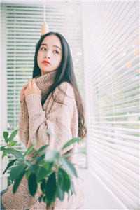 爱如朝露，风吹无痕完整文集阅读