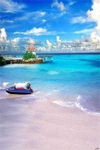 失望叠加，爱已消失未删节