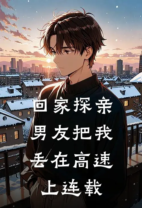 回家探亲,男友把我丢在高速上连载