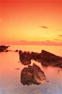 最后的轻语畅读