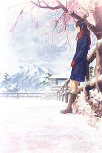 相爱一场，体面收场无广告