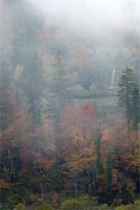 同学会上被群嘲，最后才知我一个人就是豪门好书