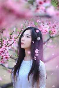 十年一梦晚梨辞爆款热文